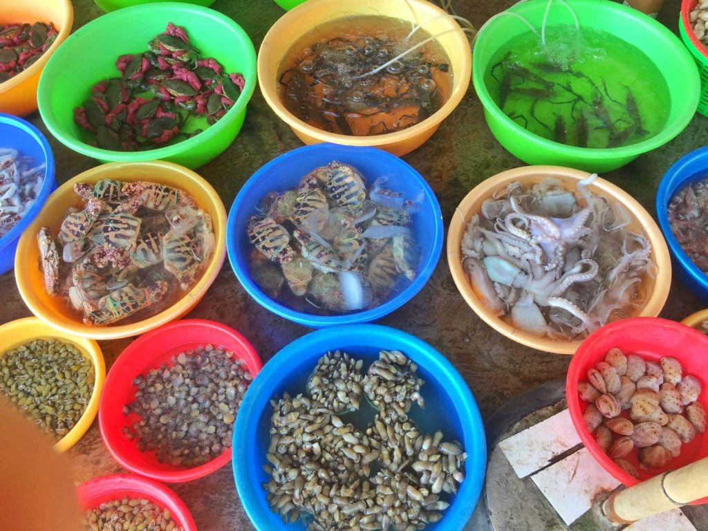 Hải sản biển Tân Thành Gò Công